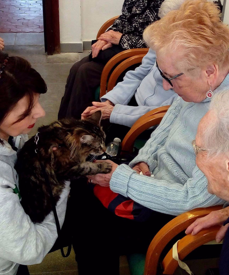 Pet Therapy a Villa Costalta