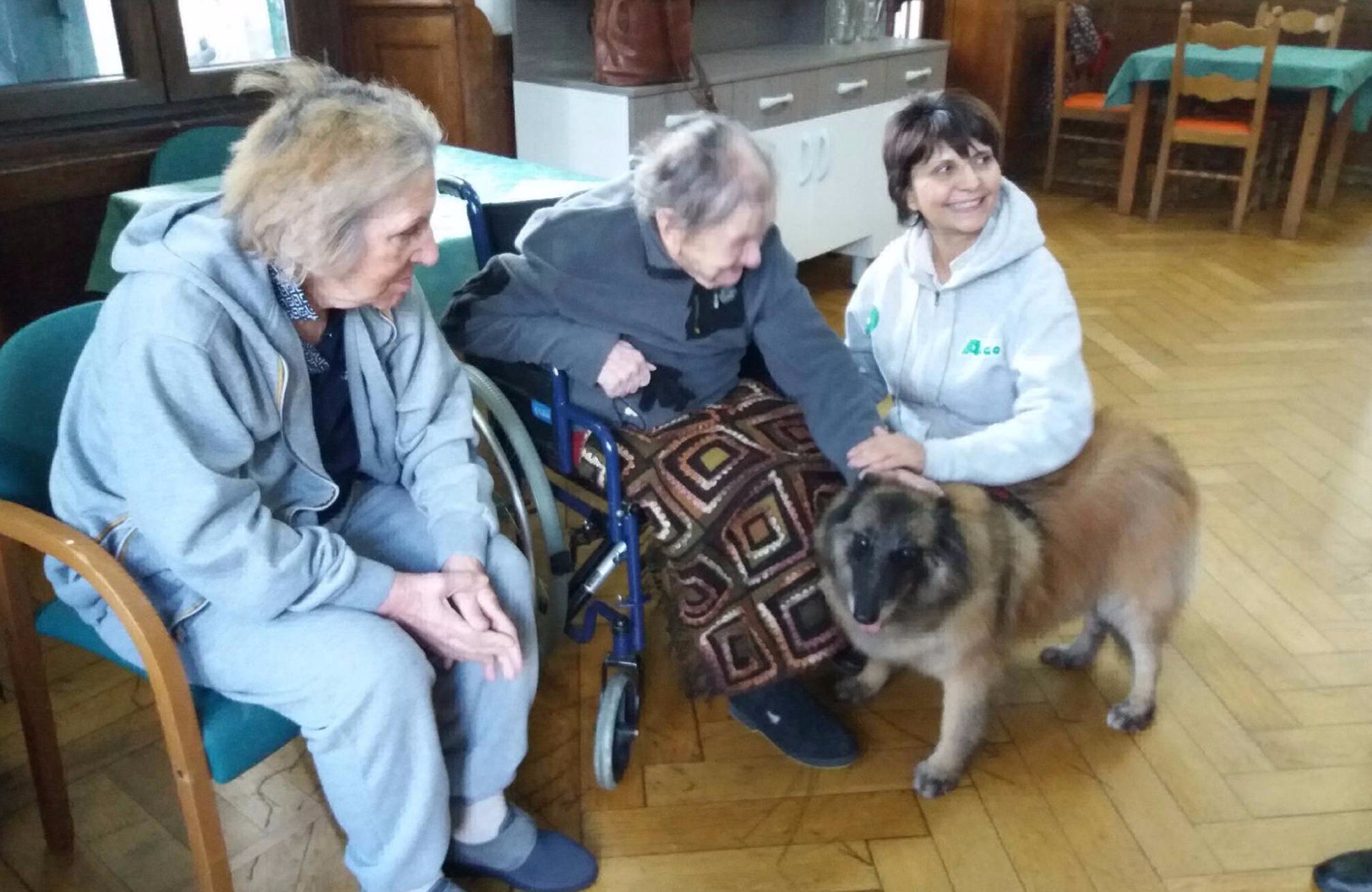 la pet therapy a Villa Costalta