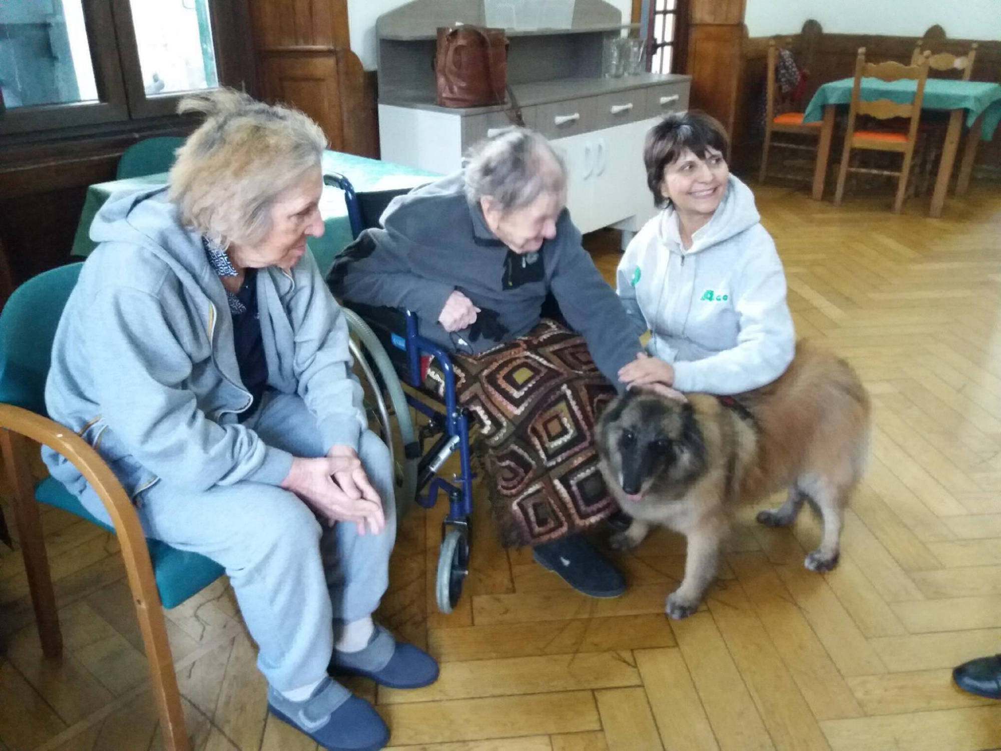 pet therapy a Villa Costalta  