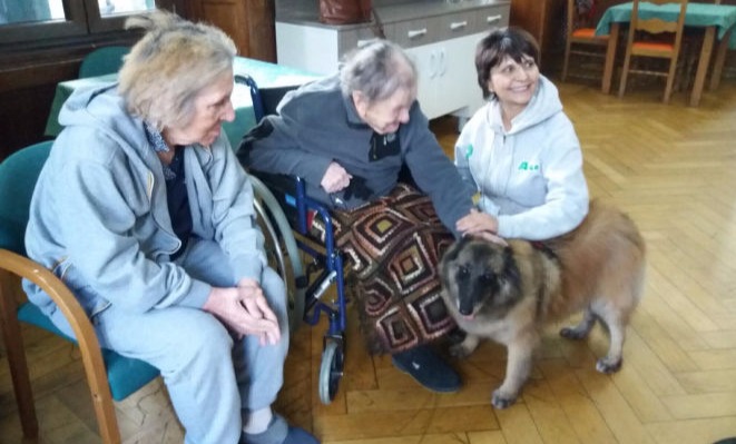 I corsi di Pet Therapy a villa Costalta